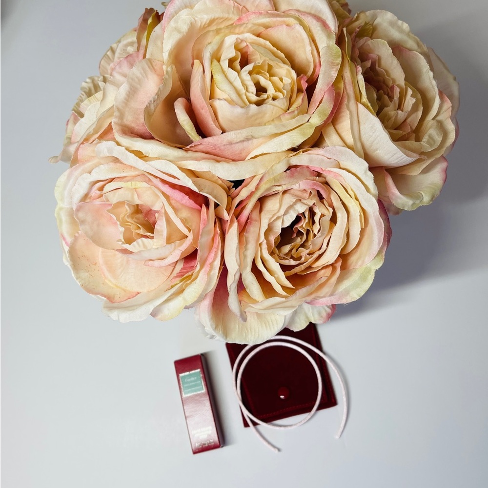 Cartier silk cord in Light Pink - New